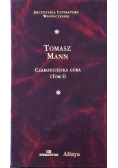 Czarodziejska góra Tom 1