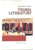 Teoria literatury