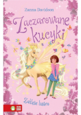 Zaczarowane kucyki. Zaklęte lustro