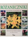 Różaneczniki poradnik ogrodniczy