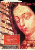 Meksykańska symfonia ikona z Guadalupe