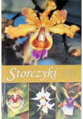 Storczyki