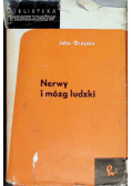 Nerwy i mózg ludzki