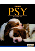 Psy szczeniaki