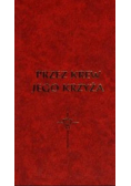 Przez Krew jego krzyża