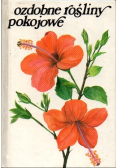 Ozdobne Rośliny Pokojowe