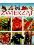 Encyklopedia Zwierząt Sawanna Dżungla Rafa Koralowa
