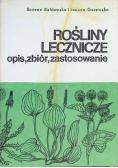 Rośliny lecznicze opis, zbiór, zastosowanie