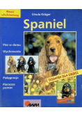 Spaniel