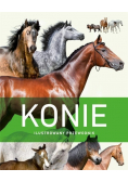 Konie