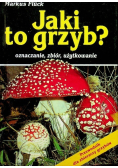 Jaki to grzyb