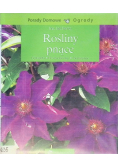 Rośliny pnące