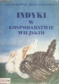 Indyki w gospodarstwie wiejskim