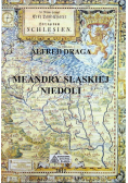 Meandry śląskiej niedoli