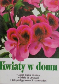 Kwiaty w domu