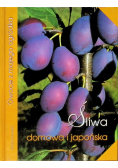 Śliwa domowa i japońska