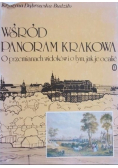 Wśród panoram Krakowa