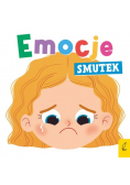 Emocje Smutek