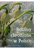 Rośliny chronione w Polsce