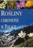 Rośliny chronione w Polsce