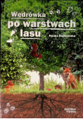 Wędrówka po warstwach lasu