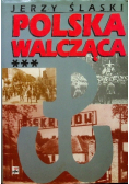 Polska walcząca tom 3