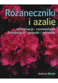 Różaneczniki i azalie