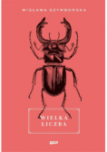 Wielka liczba