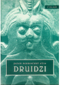 Druidzi