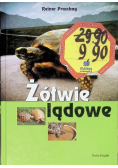 Żółwie lądowe