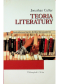 Teoria literatury