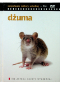 Dżuma