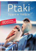 Ptaki żyjące w mieście