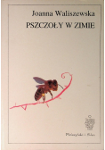 Pszczoły w zimie