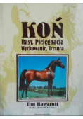 Koń Rasy pielęgnacja wychowanie tresura