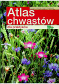 Atlas chwastów