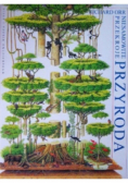 Niesamowite przekroje przyroda