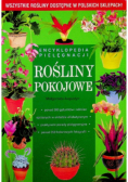 Rośliny pokojowe