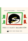 Pies z ulicy bałamutów