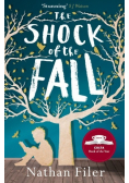 The shock of the fall