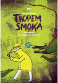 Tropem smoka Przewodnik po magicznym Krakowie