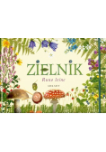 Zielnik Runo leśne