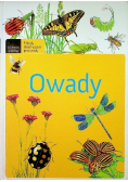 Owady