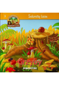 Sekrety Lasu  7 Grzyby