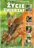Życie zwierząt