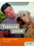Tresura psów I kto tu kogo prowadzi na smyczy?