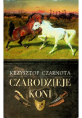 Czarodzieje koni