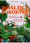 Rośliny pokojowe