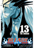 Bleach Tom 13
