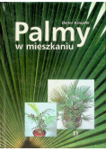Palmy w Mieszkaniu